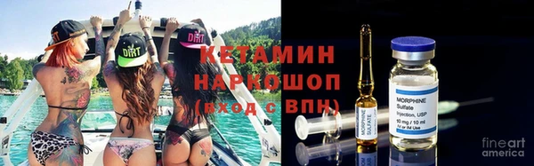 сатива Коряжма