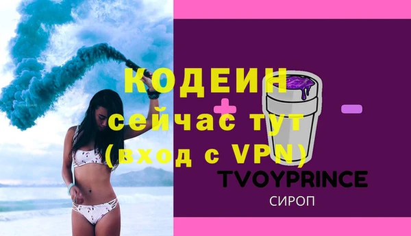 сатива Коряжма