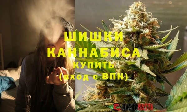 сатива Коряжма