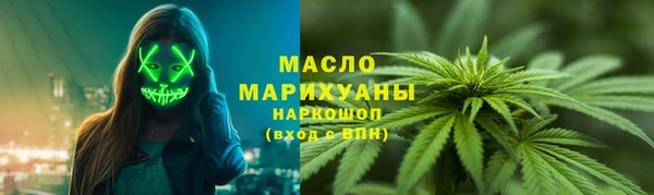 сатива Коряжма