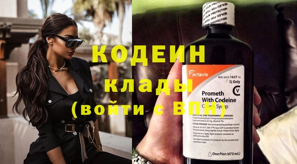 сатива Коряжма
