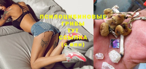 сатива Коряжма