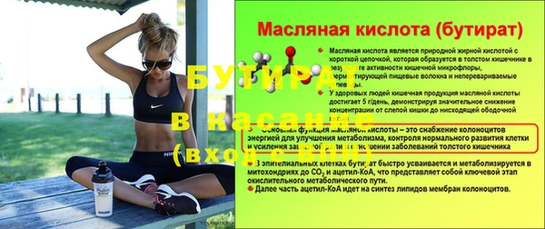 сатива Коряжма