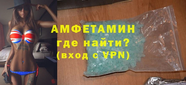 сатива Коряжма