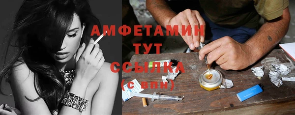 сатива Коряжма