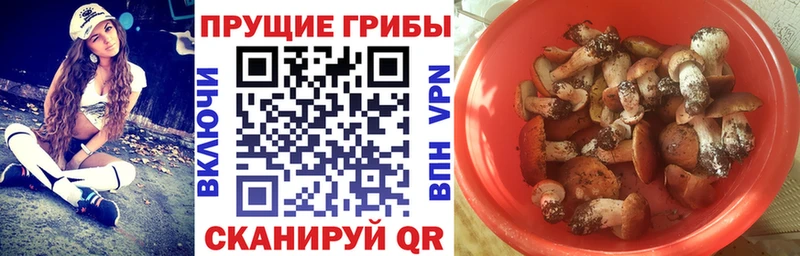 Псилоцибиновые грибы MAGIC MUSHROOMS  Новошахтинск 