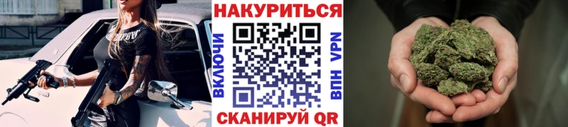 Канабис VHQ  сколько стоит  hydra как войти  Новошахтинск 